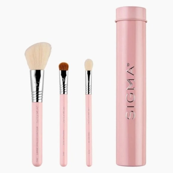 BNWOT Sigma - ESSENTIAL TRIO BRUSH SET - PINK - Picture 1 of 6